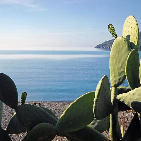 Capo Sud Lacona