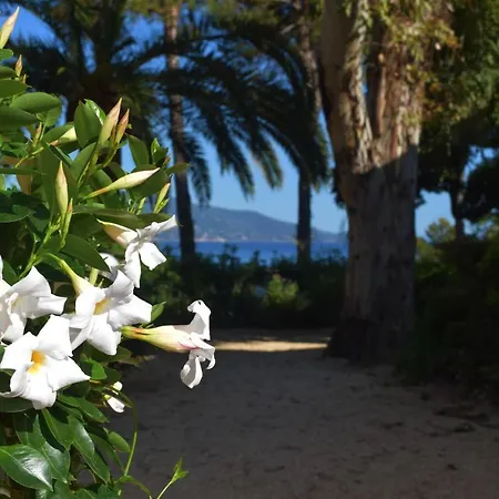 Ξενοδοχείο Capo Sud 3*