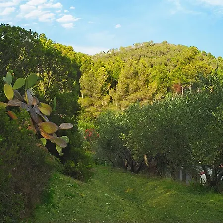 Capo Sud Hotel Lacona