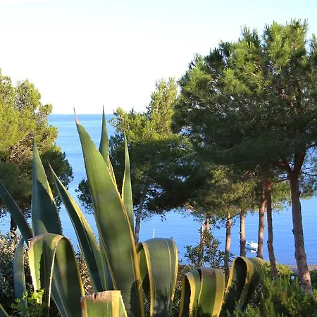 Capo Sud 3* Lacona