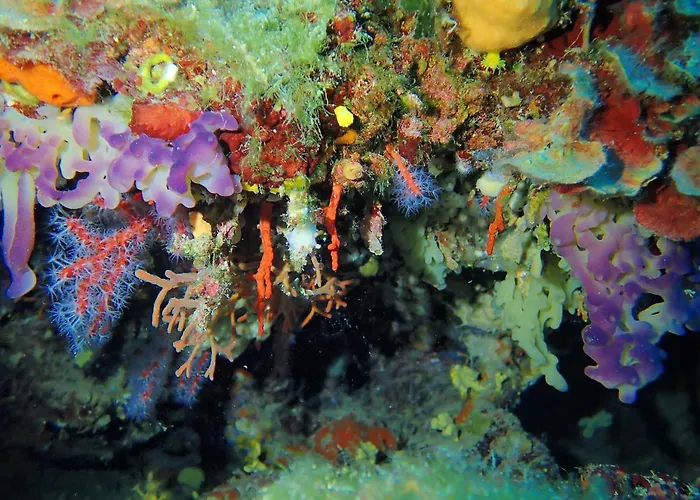 Capo Sud 酒店 拉科纳