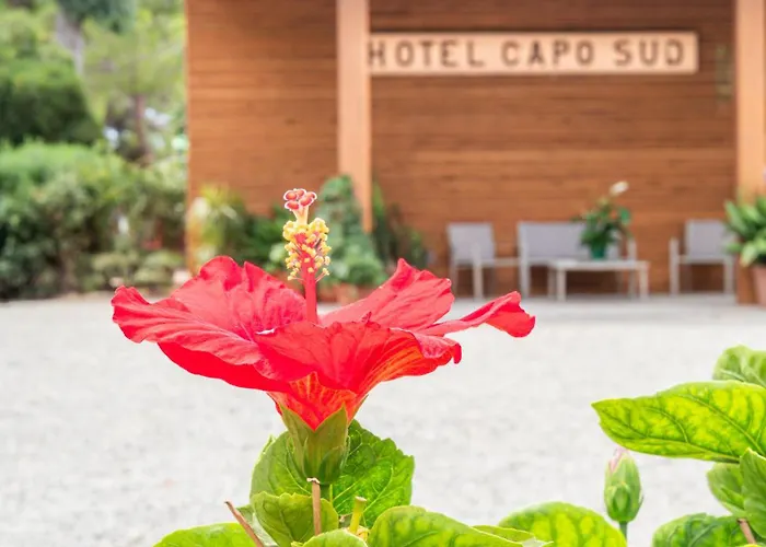 酒店 Capo Sud 拉科纳